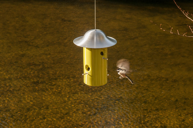 Yellow J Schatz Bistro Bird Feeder with a brushed metal roof, a chickadee landing at one of its feeding ports
