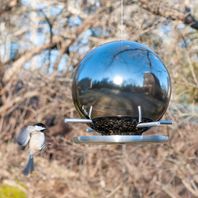 platinum mirror ceramic Pop bird feeder with chickadee in winter trees, J Schatz