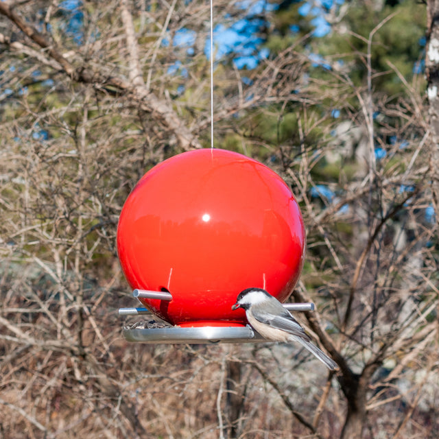 sumac red ceramic Pop bird feeder with chickadee in winter trees, J Schatz