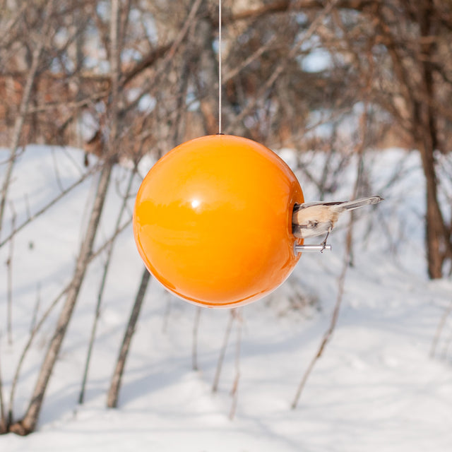 chickadee inside orange peel ceramic Pop bird house in winter trees, J Schatz