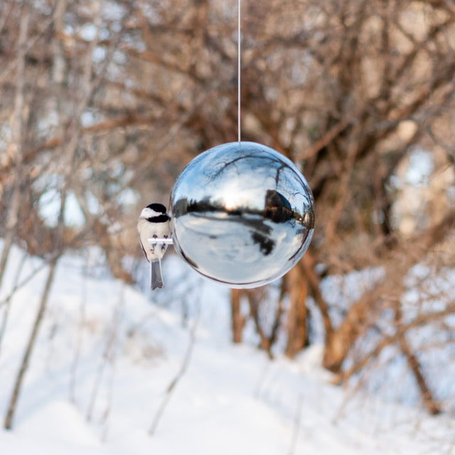 chickadee perched on platinum ceramic Pop bird house in winter trees, J Schatz