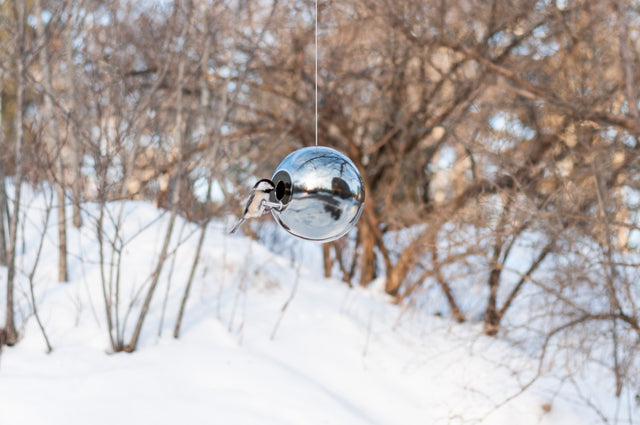 chickadee at platinum ceramic Pop bird house in winter trees, J Schatz