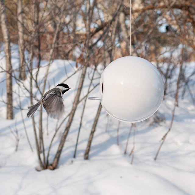 white ceramic Pop bird house with chickadee in snow, J Schatz