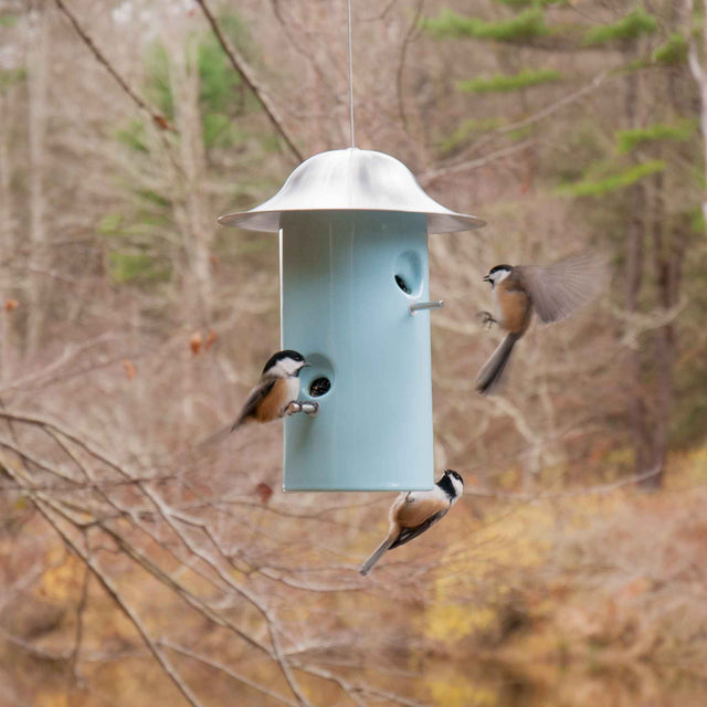 Bistro bird feeder hanging outdoors, made in Detroit by J Schatz