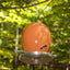 Bittersweet Orange ceramic Egg bird feeder, custom color made to order, J Schatz
