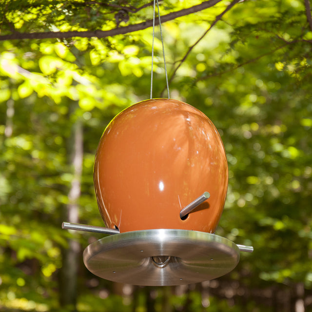 Bittersweet Orange ceramic Egg bird feeder, custom color made to order, J Schatz