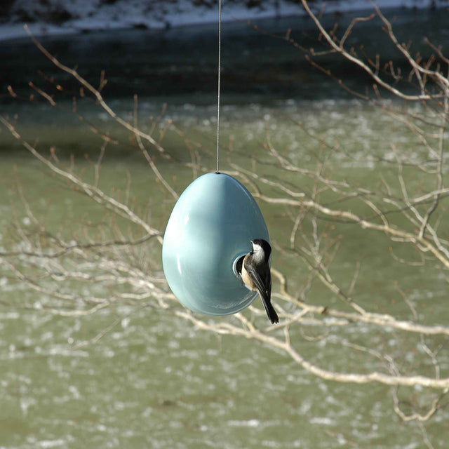 chickadee at entry of light aqua ceramic Egg bird house in tree, J Schatz