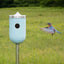 bluebird at entry of light aqua ceramic Nut bird house, J Schatz