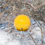 goldenrod yellow ceramic Pop bird feeder with chickadee in winter trees, J Schatz