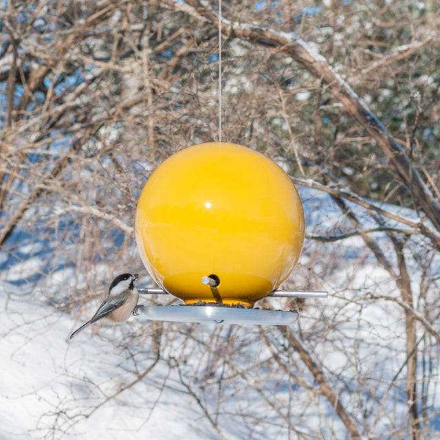 goldenrod yellow ceramic Pop bird feeder with chickadee in winter trees, J Schatz