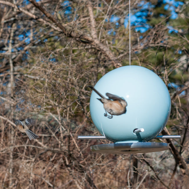 bird in flight to light aqua ceramic Pop bird feeder, J Schatz