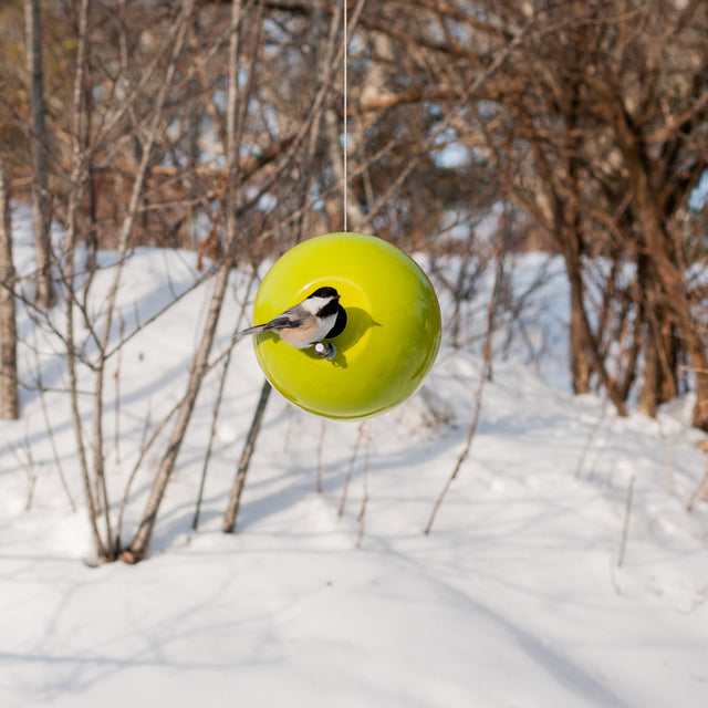 olive ceramic Pop bird house in winter brush, J Schatz