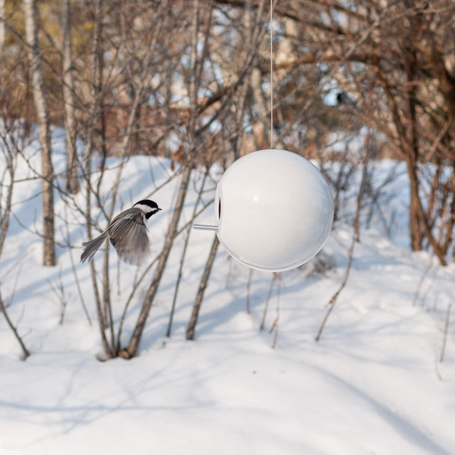 white ceramic Pop bird house with chickadee in snow, J Schatz