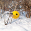 chickadee at yellow ceramic Pop bird house in winter trees, J Schatz